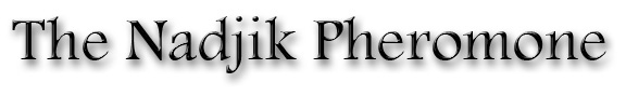 nadjik logotype